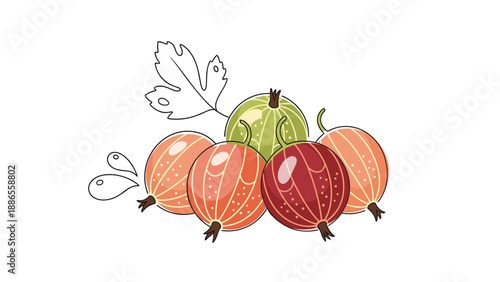 Group of ripe gooseberries in shades of green, red, and orange with a single leaf and water drops on a white background.