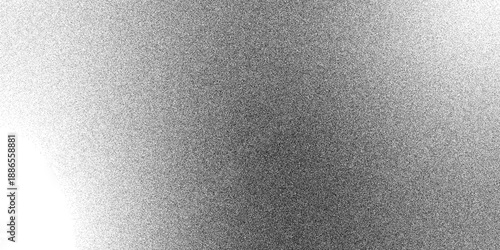 Abstract A visually arresting expanse of monochrome pointillism, where a delicate interplay of tones evokes a sense of both mystery and ethereal beauty.