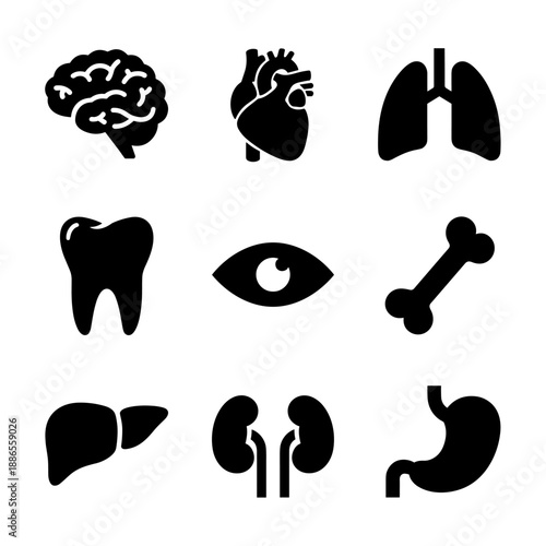 human organs icons