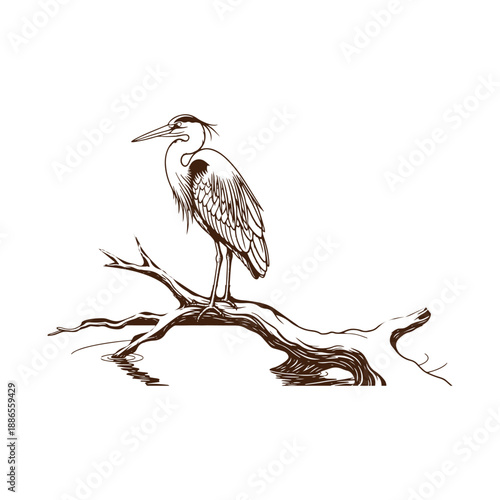 Heron standing on a tree branch