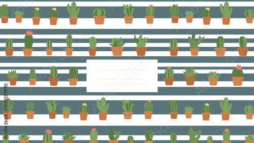 Various green succulent plants and cacti in terracotta pots arranged on a dark blue and white striped background pattern.