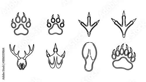 Animal Tracks: A set of stylized animal tracks including wolf, bear, bird and deer, each representing the unique stride of these creatures. 