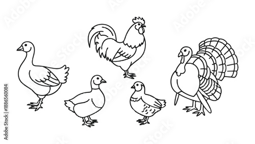 Farmyard Friends: A charming illustration depicts a variety of farm animals, capturing their unique characteristics in a simplistic, yet endearing style.