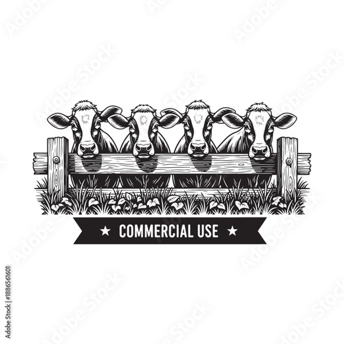 Cows peeking over wooden fence