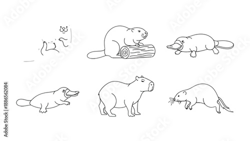 Diverse Mammals: A detailed illustration showcasing a collection of diverse mammals, including beavers, platypus, capybaras, and other fascinating creatures.