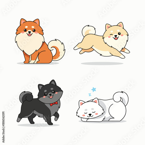 Adorable Friendly Pomeranian Dog Breed Portrait