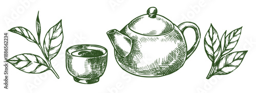 Ceramic teapot and green tea leaves. Sketch style vector illustration. Tea ceremony.