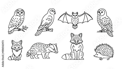 Forest Animals Line-art Set: A collection of various forest creatures, including owl, bat, fox, badger, and hedgehog, is depicted in simple line art style. 