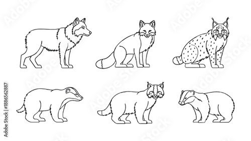 Wild Animals in Detailed Sketch: A collection of meticulously drawn wildlife illustrations, each representing a unique animal form, embodying the beauty of nature through simplistic, elegant lines.