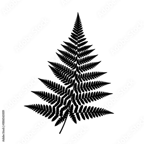 Silhouette of a Fern Leaf Botanical Frond Plant Icon Vector Illustration Isolated on White Background