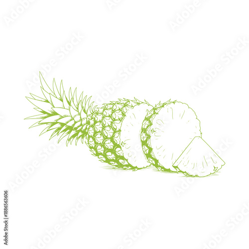 Fresh pineapple slices illustration