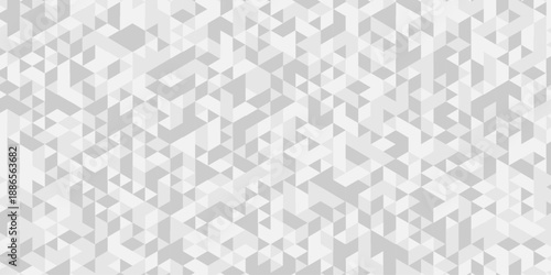Abstract low polygon paper cubic white, gray wallpaper design. vector transparent poly triangle texture geometric pattern triangular. geometric wall tile metal cube triangle background.