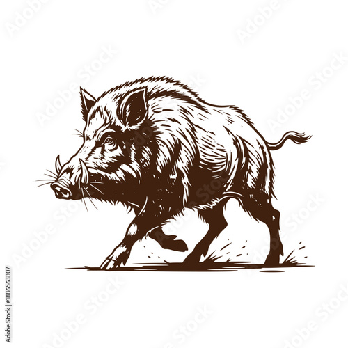 Wild boar illustration with detailed fur texture