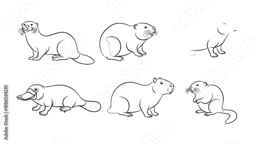 Mammalian Sketch: A collection of six diverse mammals, rendered in a clean, simple line-art style, showcasing the unique form and features of each animal.