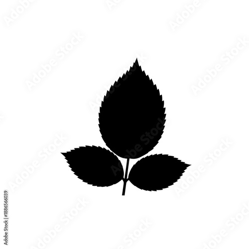 Rose Leaf Jagged Edge Silhouette Flower Part Vector Icon Isolated on White Background Nature Botany