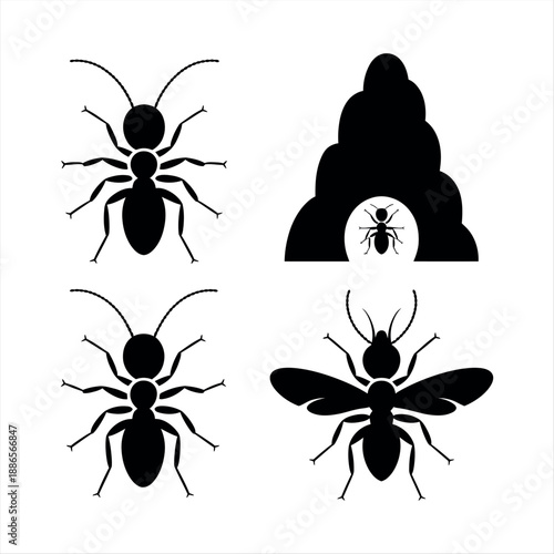 Illustration of different ant species and nest Vector