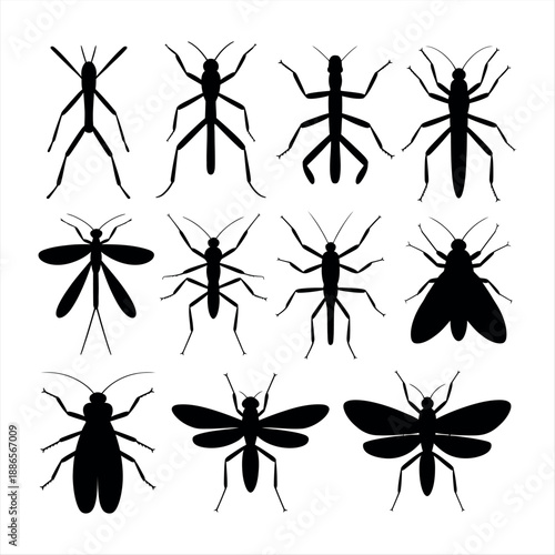 Collection of various insect silhouettes Vector