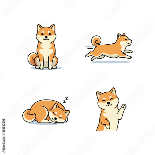 Cute Shiba Inu Dog Breeds Playing Outside