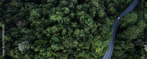 aerial view of a winding asphalt road cutting through dense green forest. Scenic mountain roadway surrounded by lush tropical trees, ideal for travel, transportation, nature, adventure, sustainability