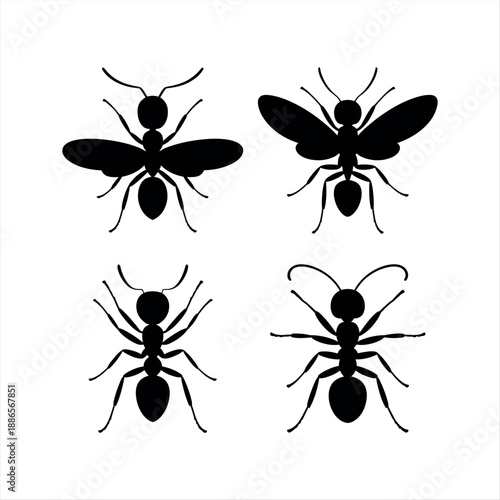 Four silhouettes of insects Vector