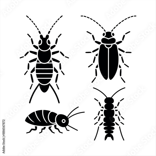 Four different types of insects: Vector