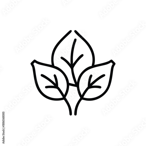 Design a brand identity outline inspired by natural harmony and eco friendly aesthetics Vector illustration