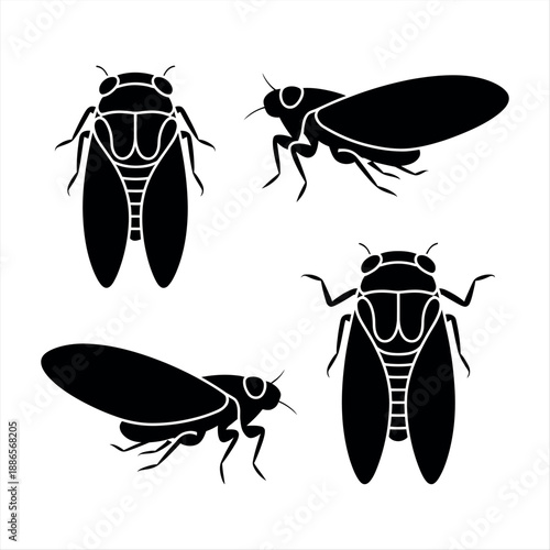 Illustrations of cicadas Vector