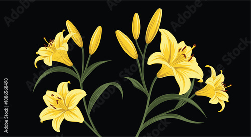 Vibrant yellow lily flowers and buds on green stems elegantly arranged against a solid black background for a high-contrast look.