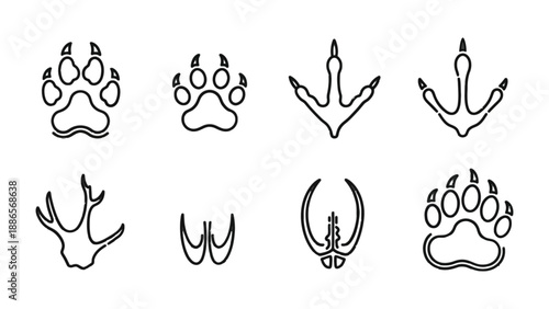 Footprints of the Wild: A collection of various animal tracks, expertly illustrated, reveals the diverse presence of wildlife in their natural environment. 