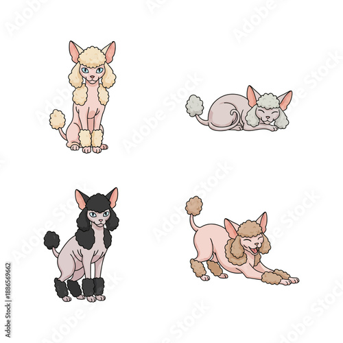 The Beautiful and Rare Sphynx Cat Breed