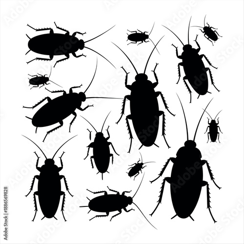 Silhouettes of cockroaches Vector