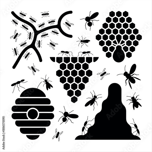 Illustrations of bees and honeycombs Vector