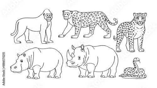 Diverse Wildlife Lineup: A captivating illustration featuring a diverse array of majestic wild animals, meticulously outlined in stark black lines on a pristine surface.  Each creature.