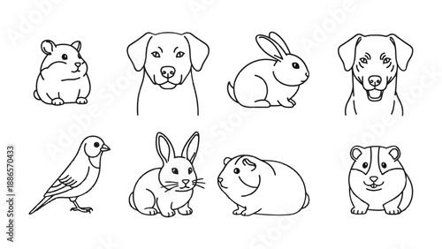 Domestic Pets Collection: A charming collection of various line-drawn domestic pets. These pets are carefully crafted to capture their unique appeal. The pets include dog, bird, rabbit, hamster.