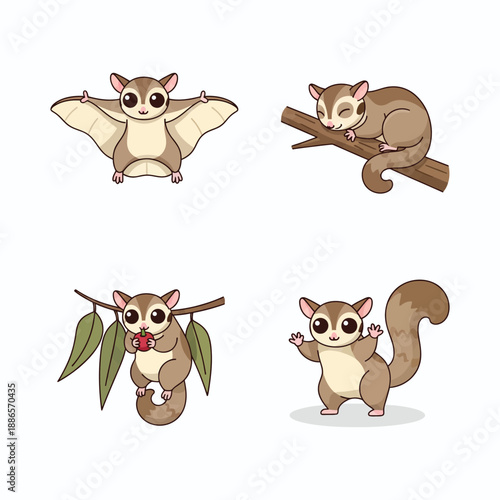 Cute Sugar Glider Animal Portrait Photography