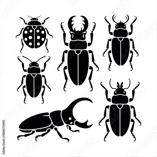 Collection of various beetle silhouettes Vector