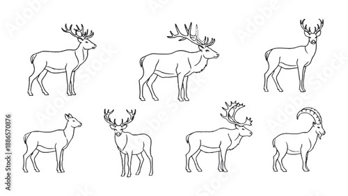 Deer Illustrations in Various Poses: A series of elegant deer illustrations in various poses, showcasing the beauty and diversity of these majestic creatures.