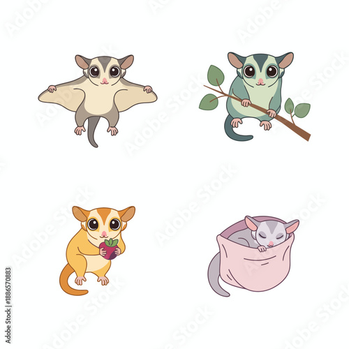 Cute Sugar Glider Animal Portrait Photography