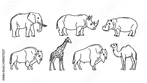 Diverse Wildlife Sketch: A set of detailed line drawings showcases a variety of majestic animals, capturing the essence of the animal kingdom in a simple yet elegant artistic style.