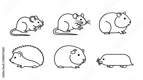 Rodent Outlines: A collection of simple, charming line art illustrations showcasing various rodents, capturing their unique shapes and features in a clean, elegant style.