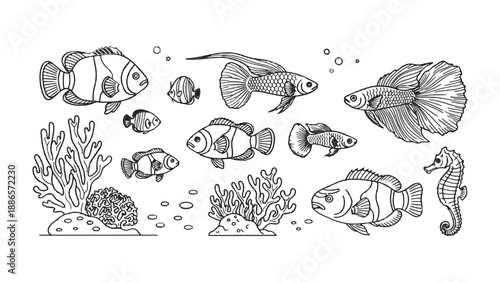 Oceanic Illustrations: An engaging collection of line-art illustrations showcasing a variety of marine life, including several types of fish and coral reefs. 