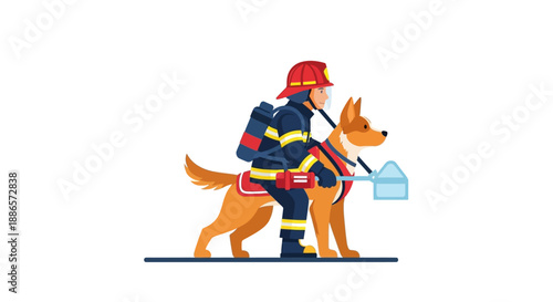 Firefighter in uniform with rescue dog on white background