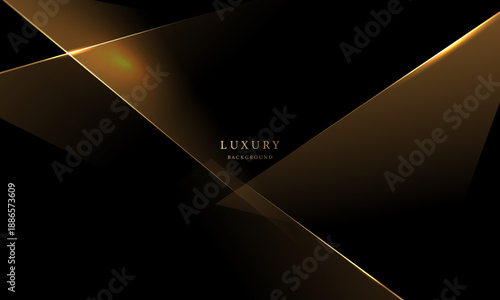 Abstract modern design black background with luxury golden elements vector illustration.