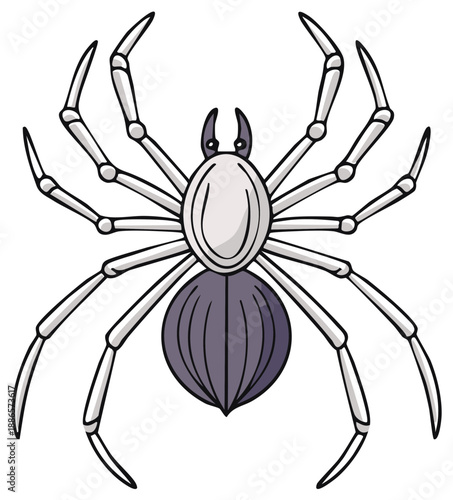 Illustration of a stylized spider with eight long legs and a distinct segmented body