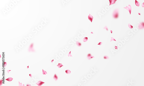Pink flower petals fall onto an abstract floral background, a beautiful floral pattern on a greeting card. Vector illustration.