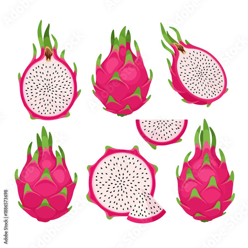 A Vibrant Set of Stylized Vector Illustrations Depicting Exotic Dragon Fruit in Whole, Halved, and Sliced Forms with Fresh White Flesh