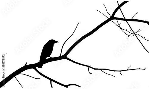 Crow Sitting on Tree Branch Silhouette Vector, Black Raven Perched on Bare Winter Limb, Nature and Wildlife Illustration, Gothic Spooky Bird Graphic, Minimalist Animal Outdoor Scene on White
