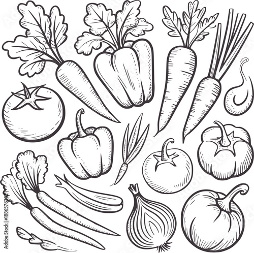 Black and of assorted fresh vegetables including carrots bell peppers tomatoes and onions