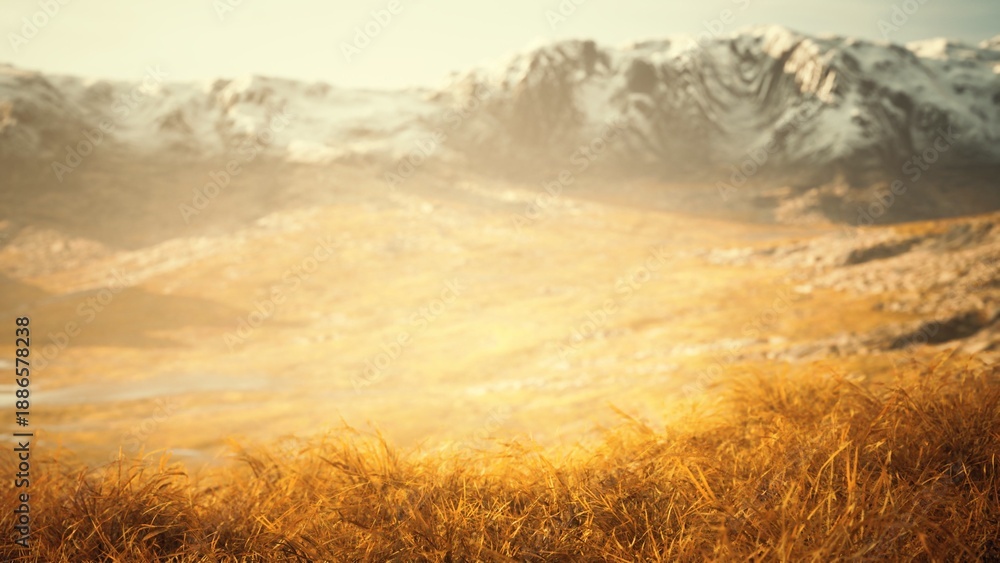 Obraz premium Warm golden grass dances in the breeze under a soft glow of sunlight. Snow capped mountains rise majestically in the background, creating a peaceful and serene landscape scene.