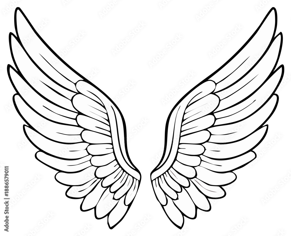 Fototapeta premium Pair of detailed vector outline angel wings illustration, simple design for emblems.